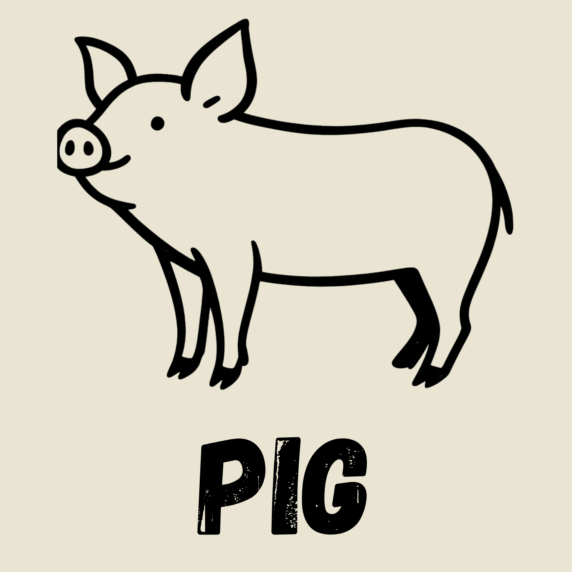 Pig