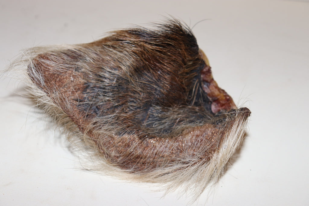 Beef Ears whole 4 pack