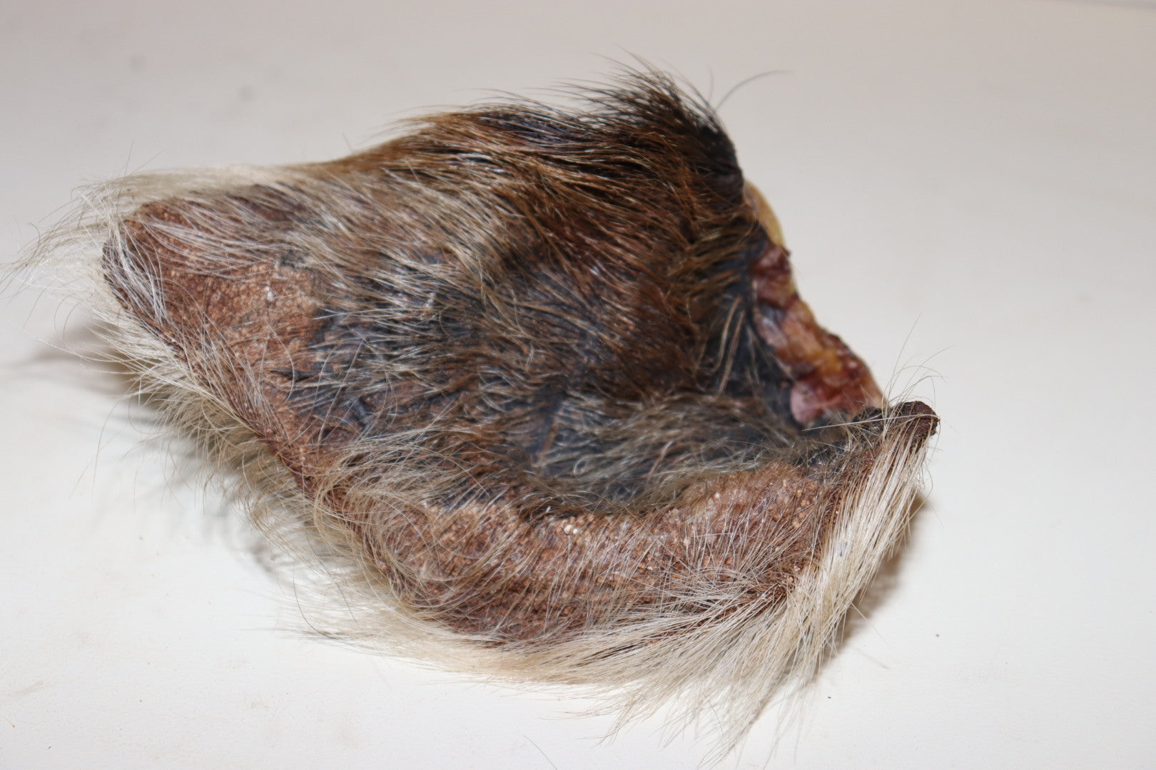 Beef Ears whole 4 pack