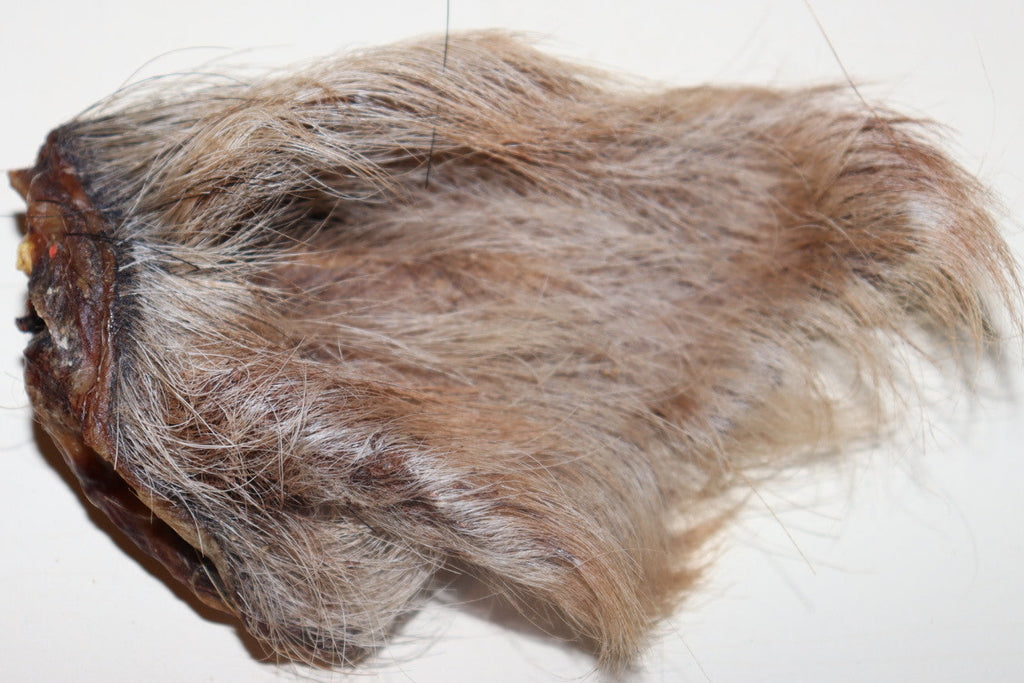 Wild Boar Ears 5 pack