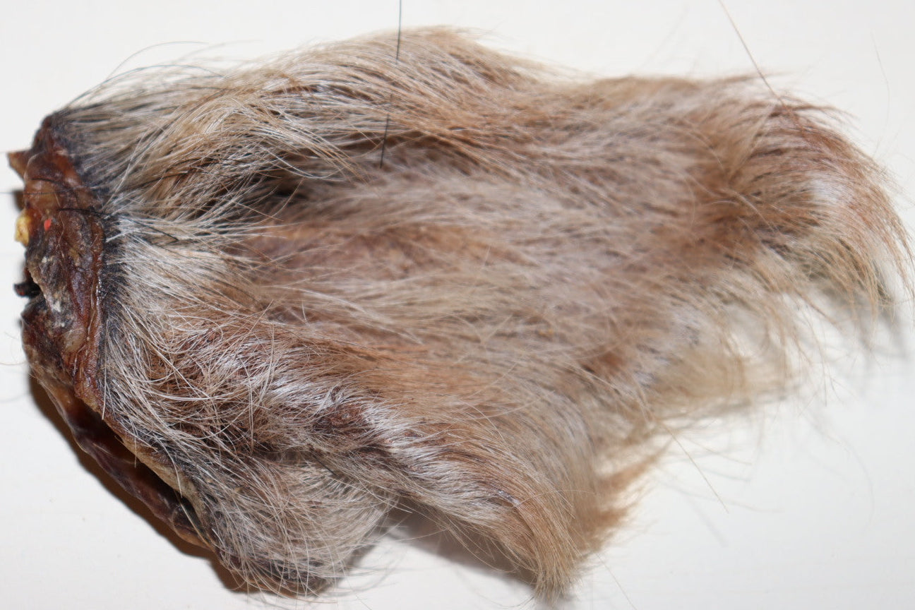 Wild Boar Ears 5 pack