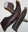 Deer Antler Small
