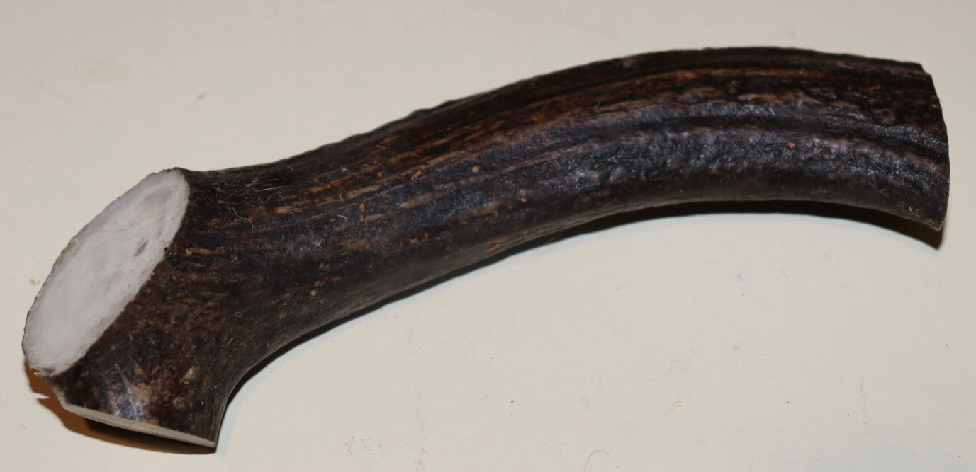 Deer Antler Large