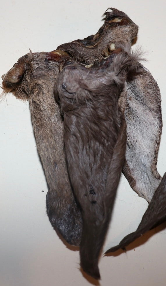 Deer Ears 5 pack