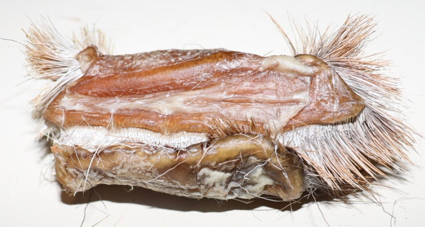 Deer Hide Rolls 200g