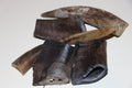 Goat Horns 2 pack