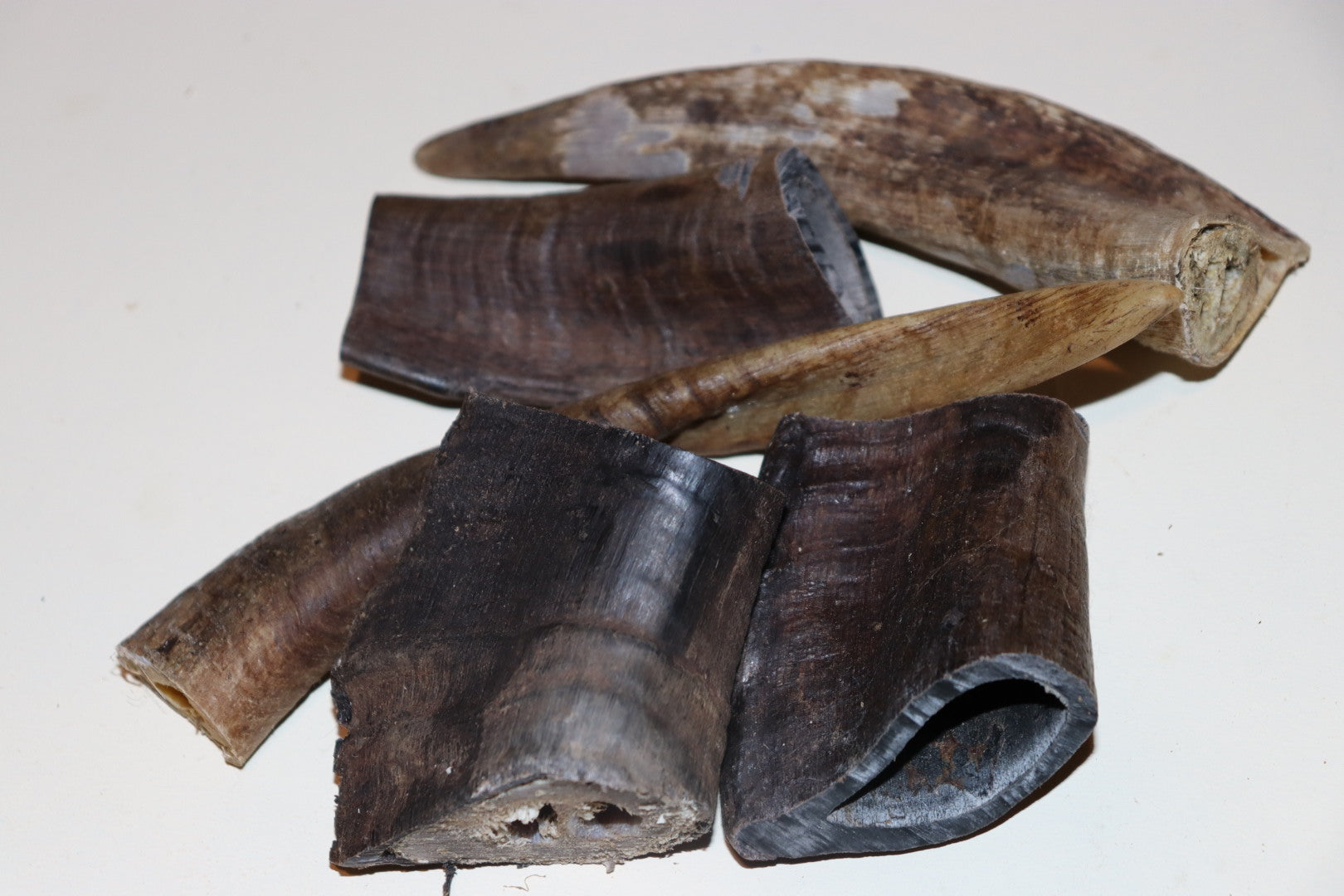 Goat Horns 2 pack