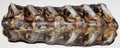 Kangaroo Lumbar 500g