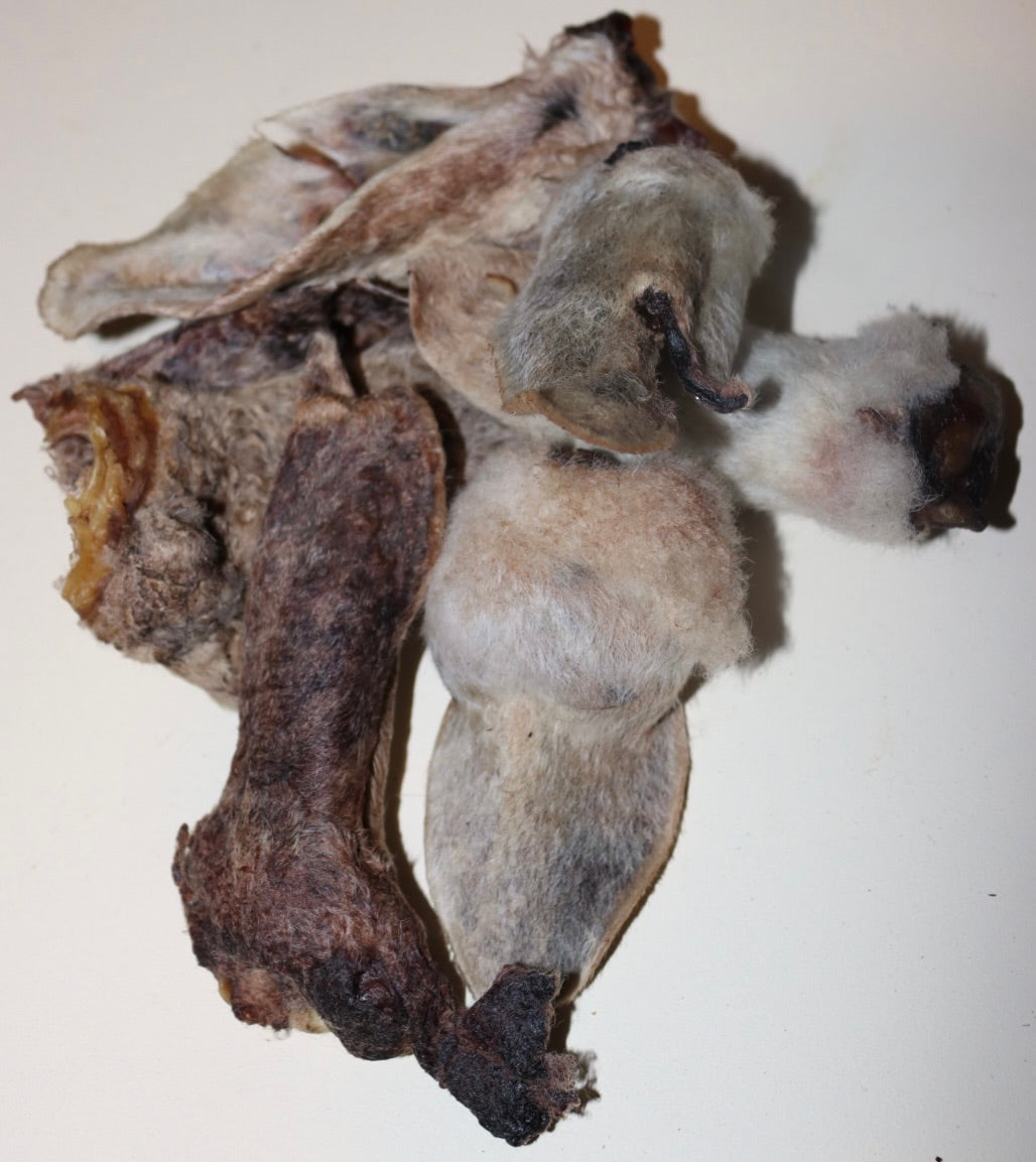 Lamb Ears 5 pack