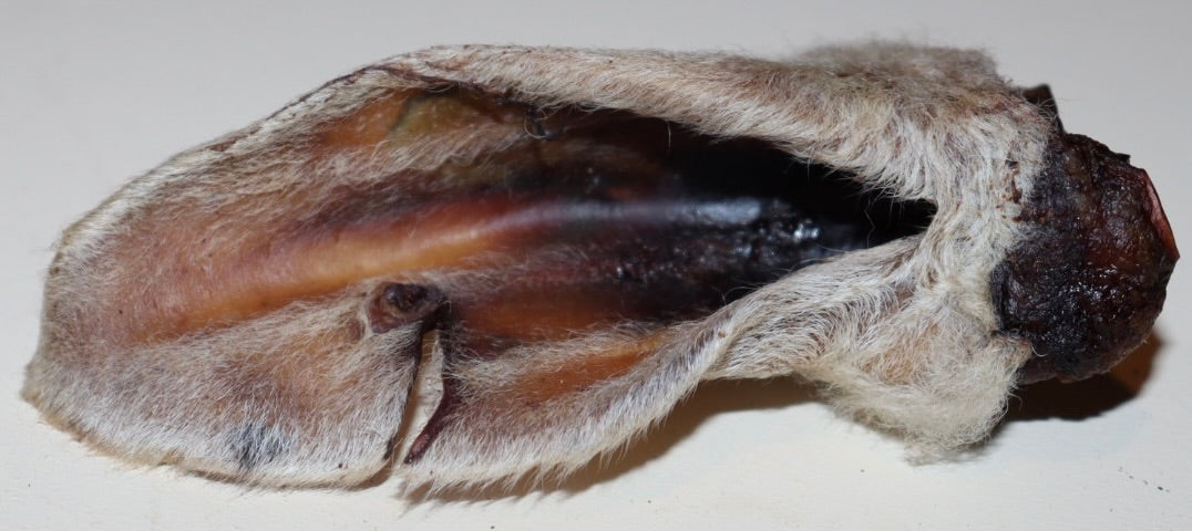 Lamb Ears 5 pack