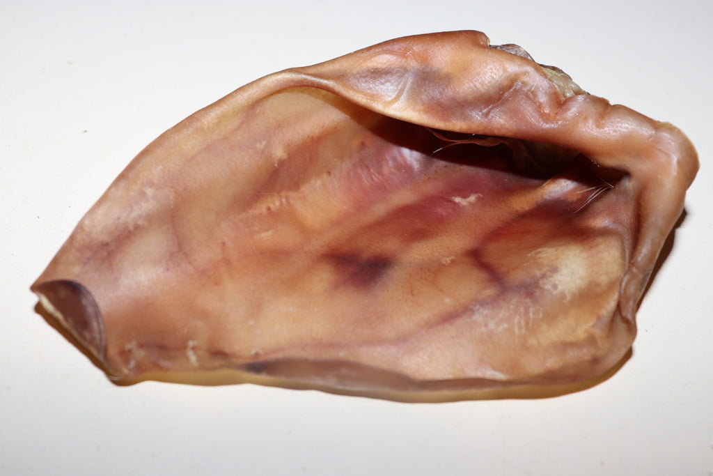 Pigs ears 5 pack
