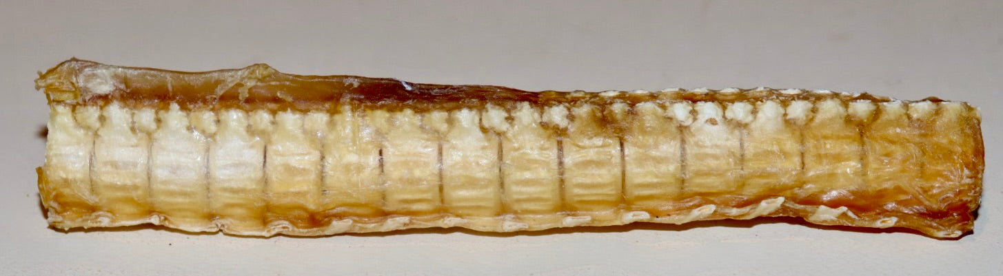 Shark Cartilage 200g