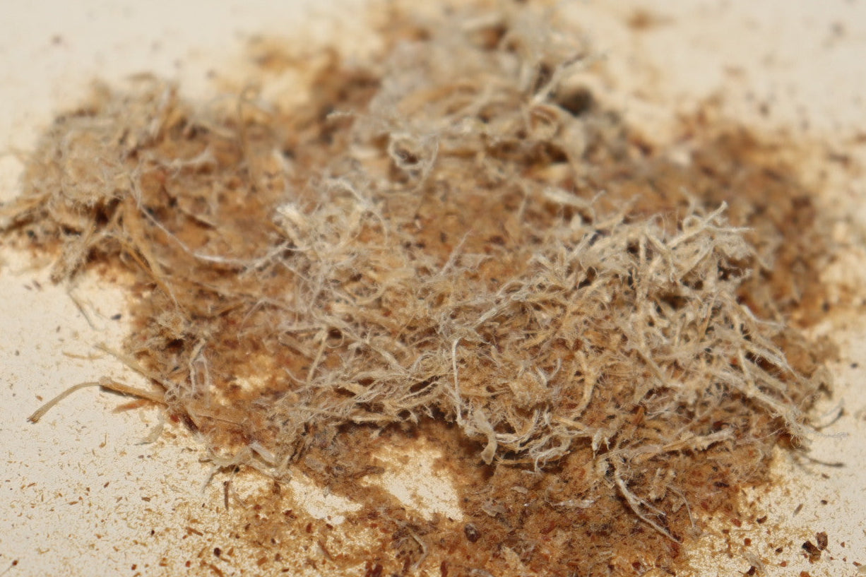 Kangaroo Topper 100g