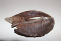 Goat Horn Whole