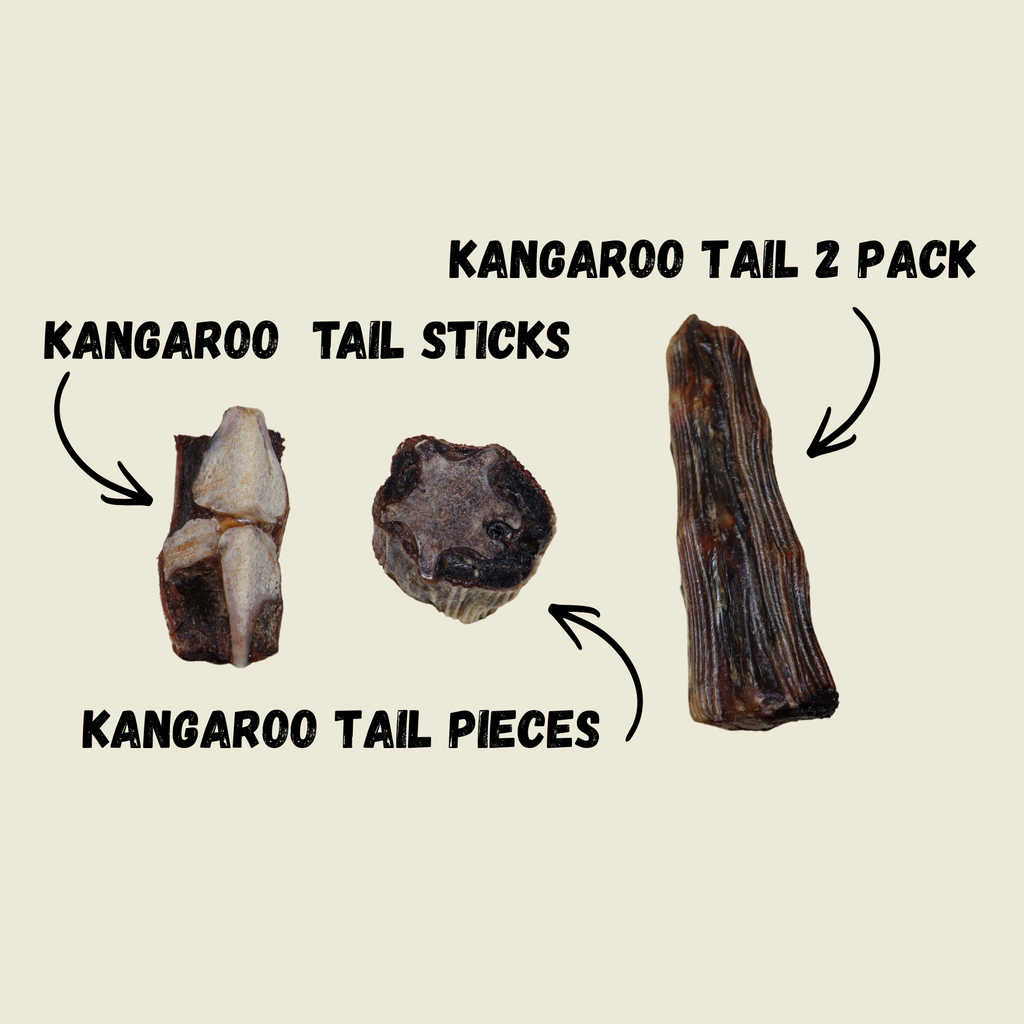 Kangaroo Large 2 pack